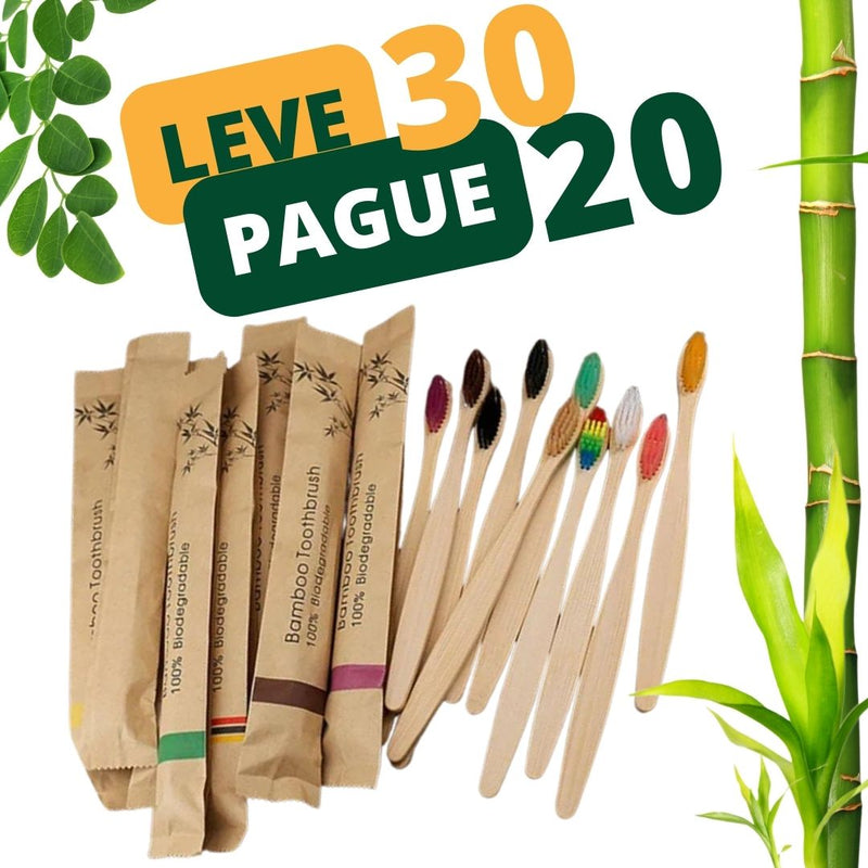 Kit Escovas de Bambu Biodegradáveis